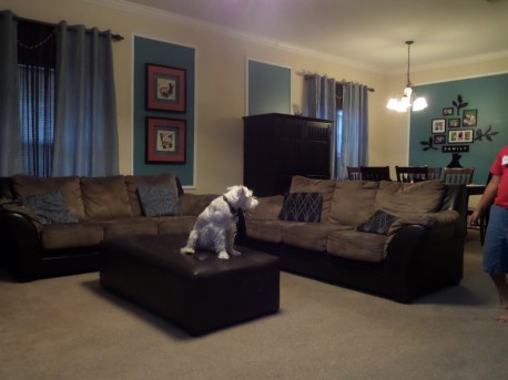 SAMSUNG CAMERA PICTURES