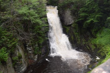 DSC_0676