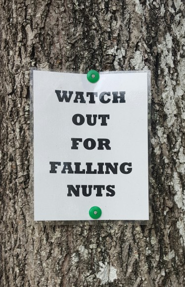 20151115_105506-1 (1).jpg